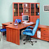 Мебель для кабинета VIP Персона на Office-mebel.ru 5